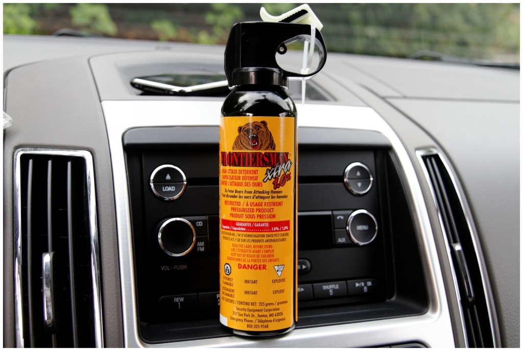 05 - Jasper NP (18).jpg